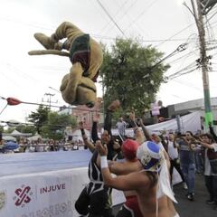 Wisin, el perro luchador que ya se volvió viral en redes sociales