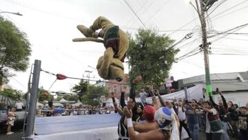 Wisin, el perro luchador que ya se volvió viral en redes sociales
