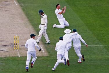 Aussie Wade hoping to remain in the pink against South Africa