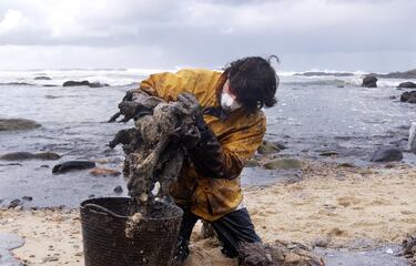 Un trabajador recoge el petróleo derramado en la playa. 