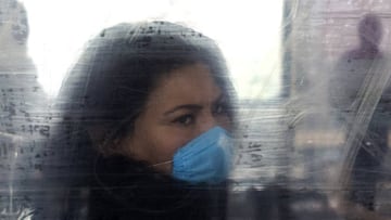 Las diversas teorías que han circulado sobre el origen del coronavirus