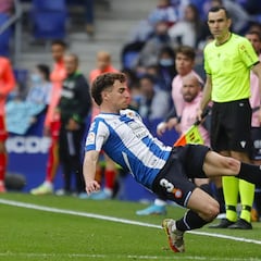 Deshielo Espanyol-Pedrosa