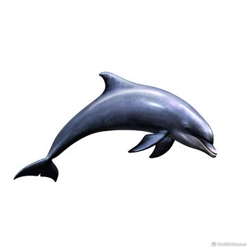 Captura de pantalla - rfb_iruka_ad.jpg