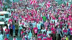 Molinón mediterráneo