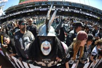 La semana pasada cometí el grave error de no poner a ningún aficionado de los Raiders. Lo siento mucho, no volverá a ocurrir.