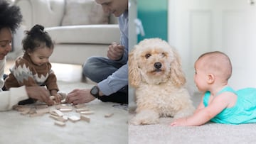 ¿Cómo limpiar alfombras? Productos y remedios caseros para combatir las manchas y malos olores