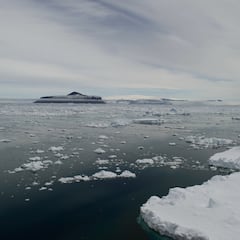Los científicos alertan de lo que puede pasar en la Antártida: “Las consecuencias serían devastadoras”