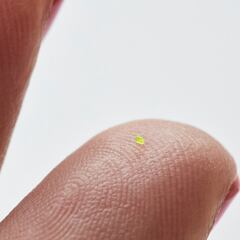 Así es el bolso más pequeño del mundo, mide menos que un grano de sal