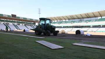 Colocación de los tepes en El Arcángel