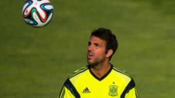 Cesc está concentrado con la Selección para jugar el Mundial de Brasil.