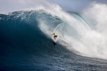 Paige Alms y Billy Kemper, indiscutibles reyes de Jaws