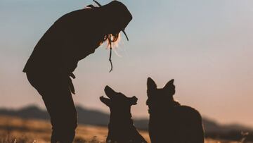 Día Mundial de la Zoonosis: la salud de los animales también protege al humano