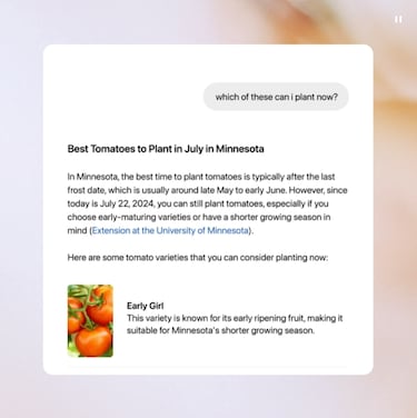 What are the features of SearchGPT, Open AI’s new search engine to challenge Google?