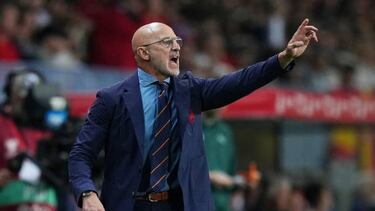 MALAGA, SPAIN - MARCH 25: Luis de la Fuente, Head Coach of Spain, gestures from the sidelines during the UEFA EURO 2024 Qualifying Round Group A match between Spain and Norway at La Rosaleda Stadium on March 25, 2023 in Malaga, Spain. (Photo by Angel Martinez/Getty Images)