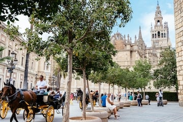 La ciudad andaluza se fundó en el siglo VIII a.C. por los tartesios. El primer asentamiento humano conocido en la ciudad se encuentra en la Cuesta del Rosario. 