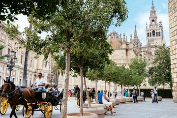 La ciudad andaluza se fundó en el siglo VIII a.C. por los tartesios. El primer asentamiento humano conocido en la ciudad se encuentra en la Cuesta del Rosario.