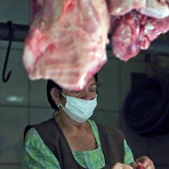 ¿Por qué se producen tantos contagios de COVID-19 en los mataderos?