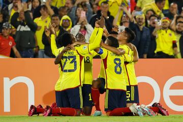 Entre el 19 y el 12 de febrero se llevó a cabo el Campeonato Sudamericano sub-20 en el país. Cali, Palmira y Bogotá fueron las sedes del torneo que otorgó cuatro plazas para el mundial de la categoría. Brasil se coronó campeón en la última fecha del hexagonal final dejando como subcampeón a Uruguay, tercera a Colombia y cuarta a Ecuador. El certamen sirvió para conocer nuevos talentos de cara al futuro como Gustavo Puerta, Óscar Cortés y Kevin Mantilla, entre otros.
