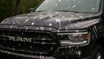 Survey shows some cars seem to attract birds more than others, leaving owners scrambling to clean up the mess.