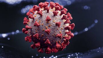 Coronavirus en M&eacute;xico hoy 1 de mayo: &Uacute;ltimas noticias, casos y muertes