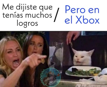 Meme gato