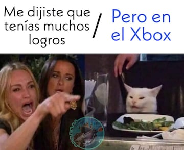 Meme gato 