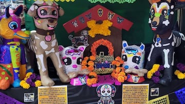 ¿A qué hora llegan las mascotas al altar de Día de Muertos, hoy 27 de octubre del 2024?