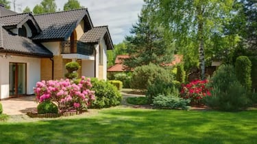 Es oficial: a partir de marzo debes podar tus árboles y setos o podrías enfrentarte a sanciones