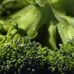 La sustancia química del brócoli que puede curar heridas el doble de rápido