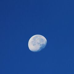 Luna cuarto menguante de septiembre 2024: ¿cuándo es y cómo ver desde México?