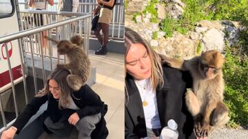 Una mujer visita Gibraltar y acaba con un ‘problema’ del Peñón sobre su cabeza: “Ese hoy duerme en el sofá”