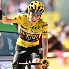 Vingegaard sentencia el Tour