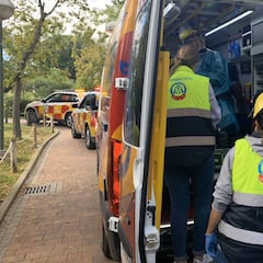 Una cuidadora del Zoo de Madrid se encuentra en estado grave tras ser atacada por un gorila