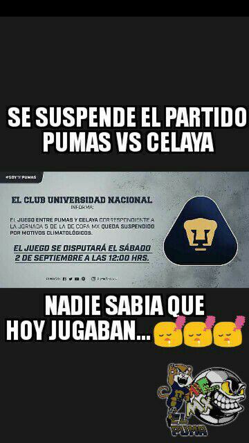 Los mejores memes del partido suspendido entre Pumas y Celaya