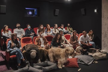 Los perros fueron los claros protagonistas del evento de presentaci&oacute;n de Dog. Un viaje salvaje.