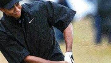 <b>MAL DÍA.Tiger se peleó con el alto rough.