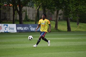 La Selección Colombia jugó un amistoso a puerta cerrada ante la Primavera del Genoa en Milanello, en el cual José Pékerman puso a prueba los esquemas y variantes que ha trabajado en los últimos días. James y Cristian Zapata, los ausentes. Otro que no tuvo acción fue José Fernando Cuadrado por decisión técnica.