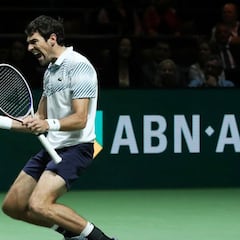 Rumanía repesca a Tecau para enfrentarse a España