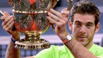 Del Potro vence a Federer y se hace con el título en Basilea