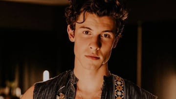 A pesar de que actualmente el coraz&oacute;n de Shawn es completamente de Camila, el cantante ha tenido otros crushes o se le ha vinculado con otras celebridades.