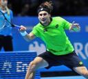David Ferrer: "La Copa Davis no se puede jugar cada año"