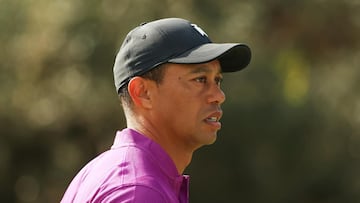 Tiger Woods: Walking on my own is my number one goal