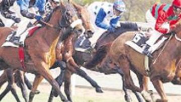 <b>NUEVA JORNADA. </b>Los caballos vuelven hoy a La Zarzuela.