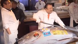 El ‘rey del atún rojo’ paga 2,7 millones de euros por un ejemplar de 243 kilos