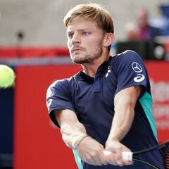 Goffin sigue adelante en Tokio y Cilic cae ante Chung