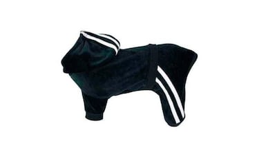 Complementos y ropa para perros: abrígalo este invierno