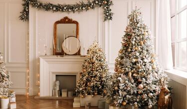 ¡Se acabó el 2023! ¿cuándo se quita el árbol de Navidad en México?