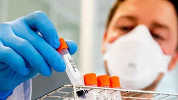 Coronavirus: ¿Por qué se habla del fármaco ivermectin?