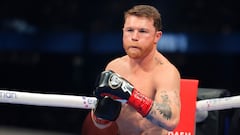 Canelo sigue en caída libre
