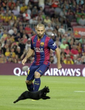 El centrocampista argentino del Barcelona Javier Mascherano persigue a un gato negro que corre por el campo y que obligó a interrumpir el partido frente al Elche, correspondiente a la primera jornada de la Liga de Primera División, que se juega hoy en el Camp Nou